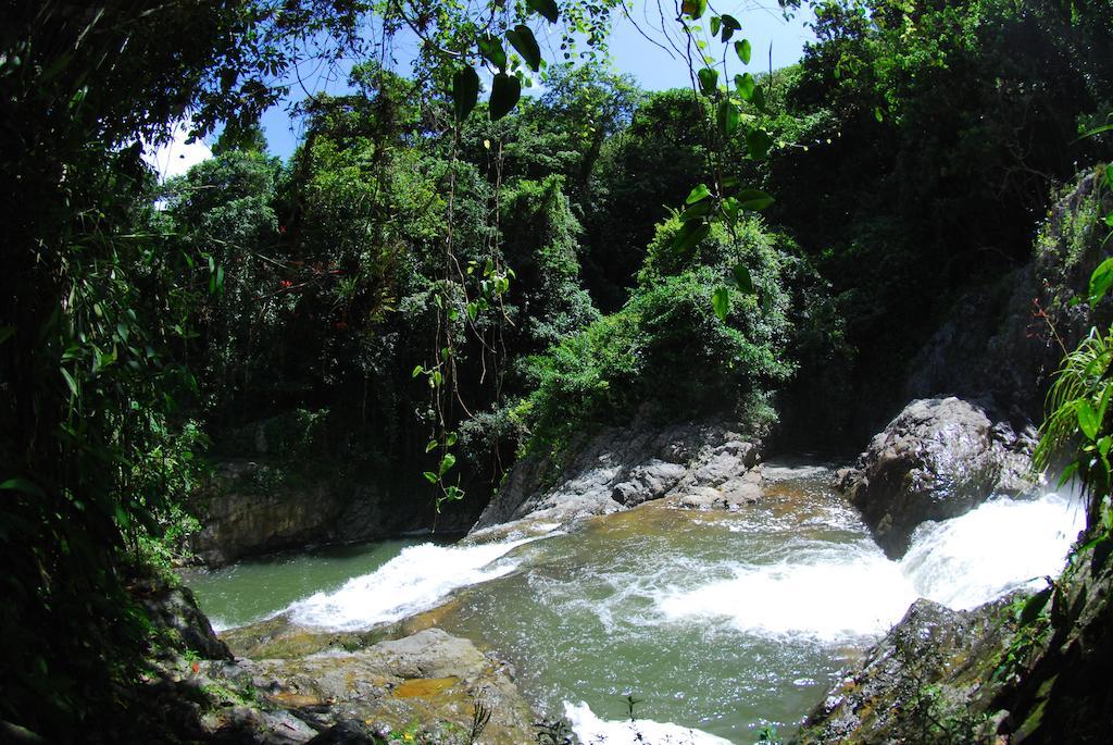 Parador Villas Sotomayor Adjuntas Zewnętrze zdjęcie