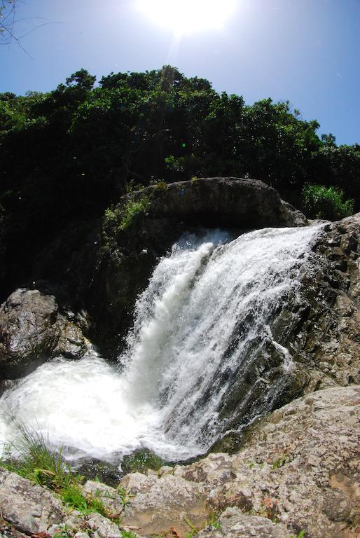 Parador Villas Sotomayor Adjuntas Zewnętrze zdjęcie